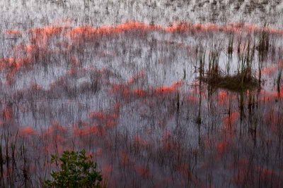 Everglades Sunset February 3, 2014 (117)