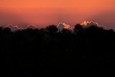 Pre-Sunrise in The Everglades