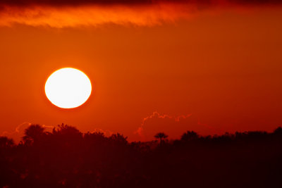 Sunrise Everglades!