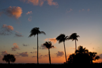 High Cloud Color at Sunset