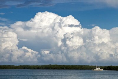 Cumulus Cloud Cluster