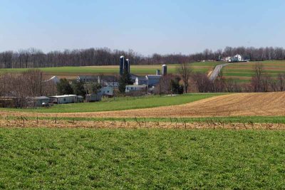 Amish Country View #2