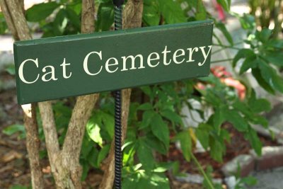 Yes, there is a cat cemetery on the property.