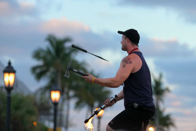 Mallory Square on March 8, 2014 #4