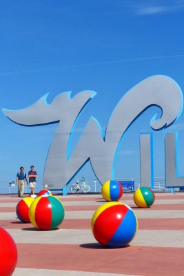 Welcome to the Wildwoods #2