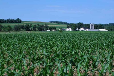 Brilliant Amish Farm Vista #1