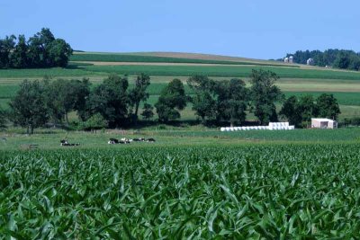 Brilliant Amish Farm Vista #2
