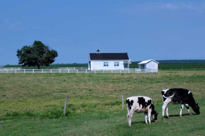 School's Out For Summer in Amish Country