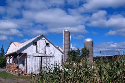 Amish Barn