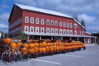Bike, Pumpkins and the Northbrook Red Barn
