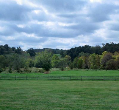 Georgia Farm Vista