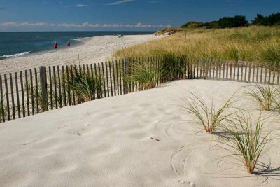 Cape May Point Beach (1)