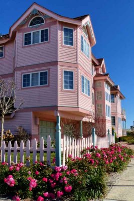LITTLE (well, not really little) PINK HOUSES FOR YOU AND ME