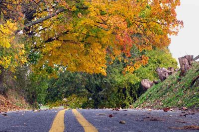Autumn Roads are the Best for Bicycling!