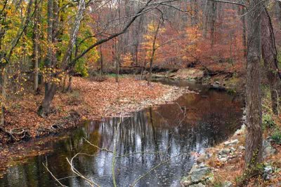 A Bend in the Brandywine