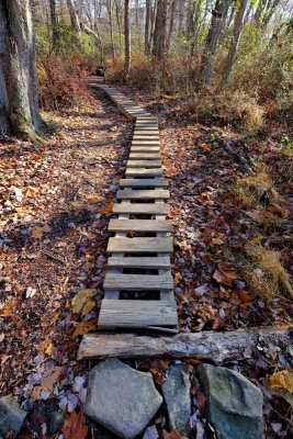 A mountain biking pathway. 