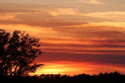 Sunset on Dutchman's Creek (53)