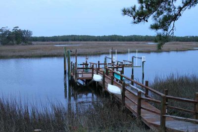 Morning on Dutchman's Creek (67)