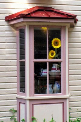 A sunflowered window.