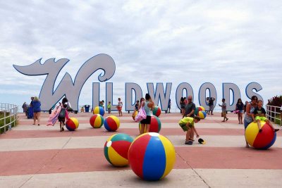 The Balls of the Wildwoods 1