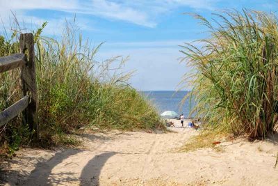 Beach Scenes in Cape May Point #1