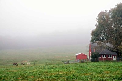 Heavy Overcast on the Farm