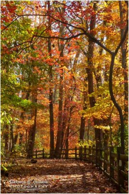 The Brandywine Trail in Autumn