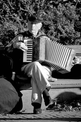 Mr. Squeezebox in Central Park