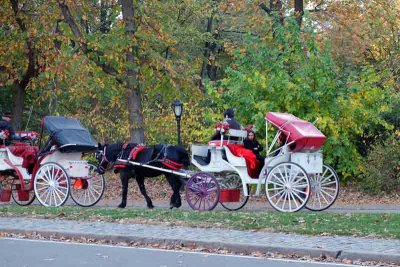 Evening Carriage Ride
