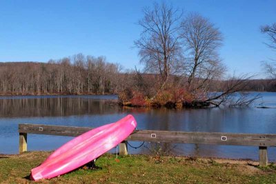 The Pink Canoe