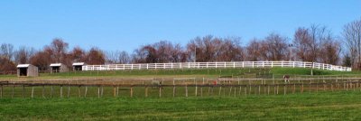 Three Sheds and a Red Bucket