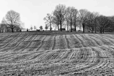 The Fields of Valley Forge