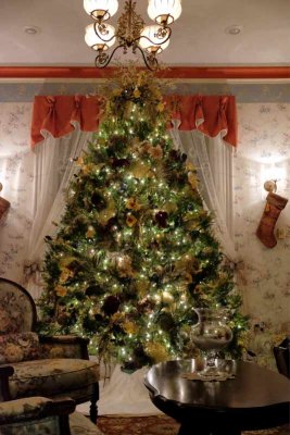 The Victorian Christmas Trees of Cape May #4
