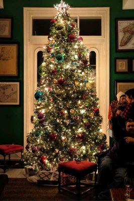 The Victorian Christmas Trees of Cape May #8