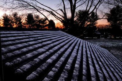Rooftop Dusting at Sunrise