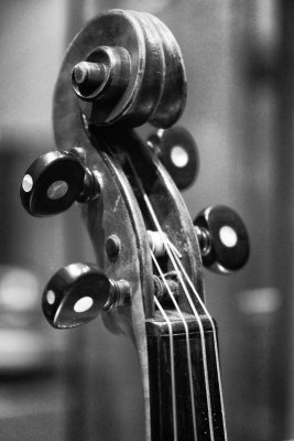 Violin Detail