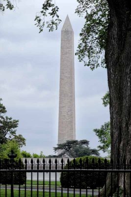 The Ubiquitous Washington Monument