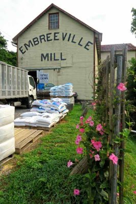 The Busy Embreeville Mill