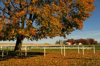 Autumn in Amish Country