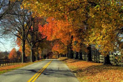 The Road Deep Into Autumn
