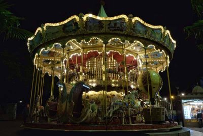 A Paris Carousel