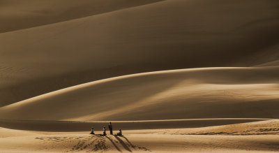 Great Sand Dunes 8582