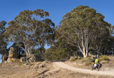 Pollys Gully Rd 