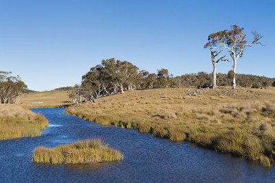 Wind on the Sapphire Pool, Kybeyan River