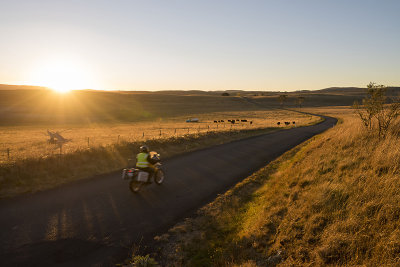 Racing the Sunset, Shannons Flat Rd,