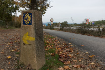 week five-068.jpg
