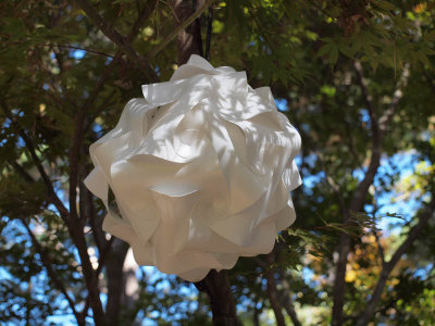 Decoration