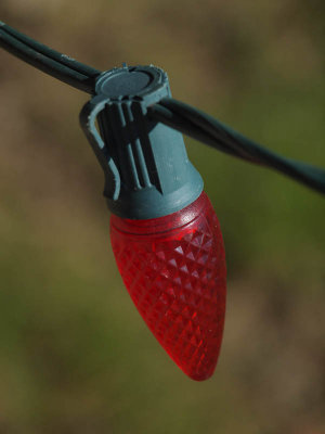 Holiday Bulb