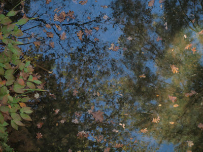 Reflections