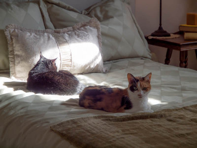 Alvin and Gracie
